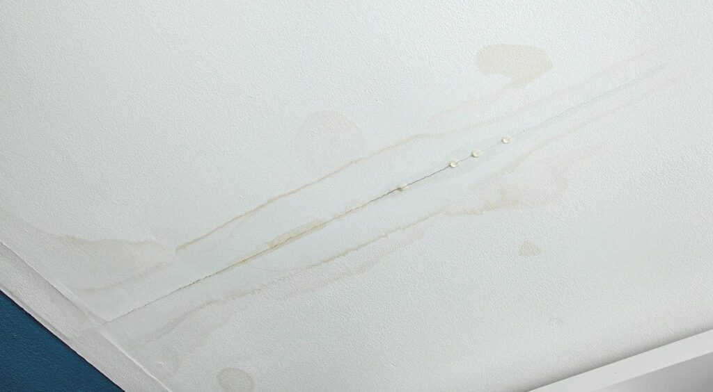 10 Best Mold Remediation Tips After Ceiling Leaks