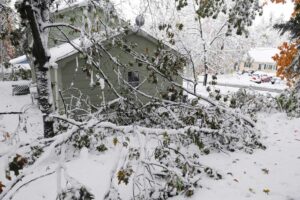Cost-Effective Storm Damage Repair Solutions