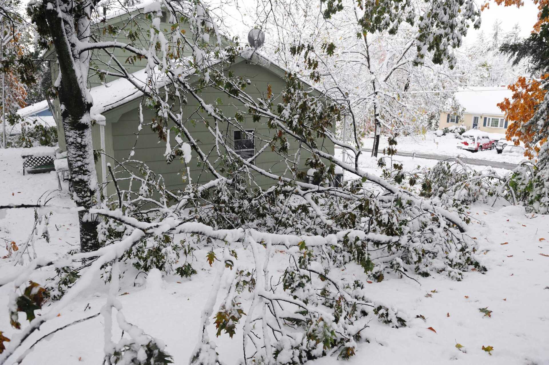 Cost-Effective Storm Damage Repair Solutions