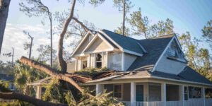 Unveiling Hidden Options for Storm Damage Repair