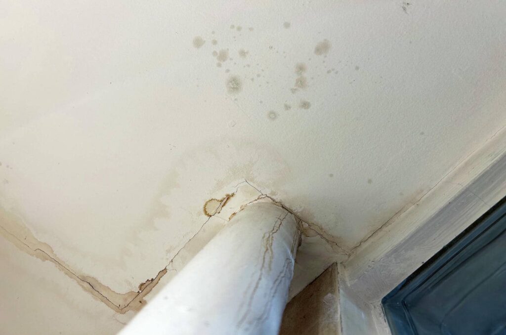 Conquer Ceiling Water Woes and Mold Menace