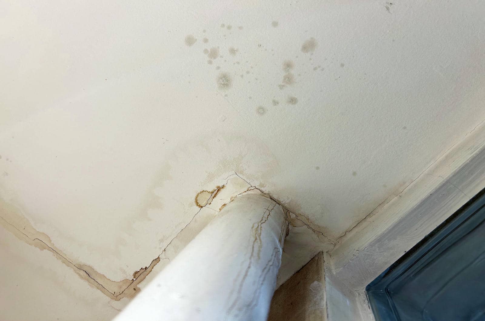 Conquer Ceiling Water Woes and Mold Menace