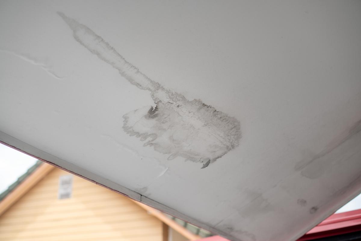 Unlock Secrets to Erase Mold After Water Damage