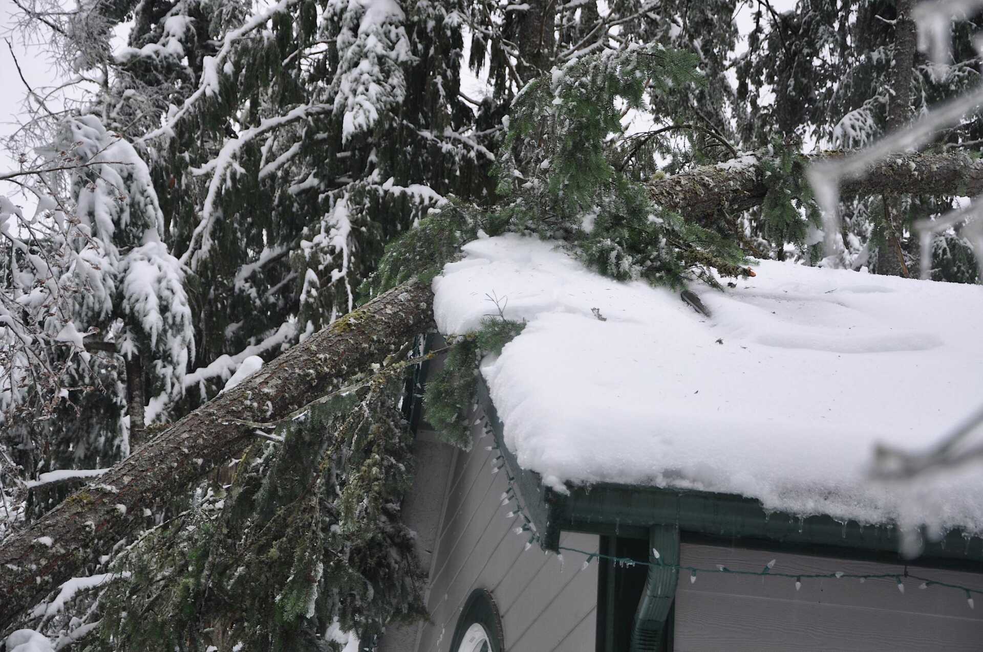 Affordable Storm Damage Repair: A How-To Guide