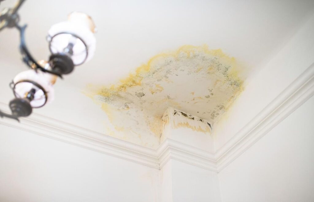 5 Tips for Affordable Ceiling Water Damage Cleanup