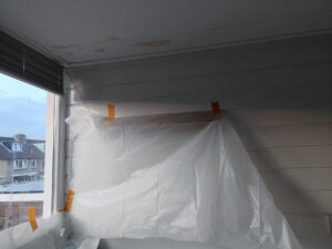 Why Choose Immediate Storm Damage Water Removal Experts?