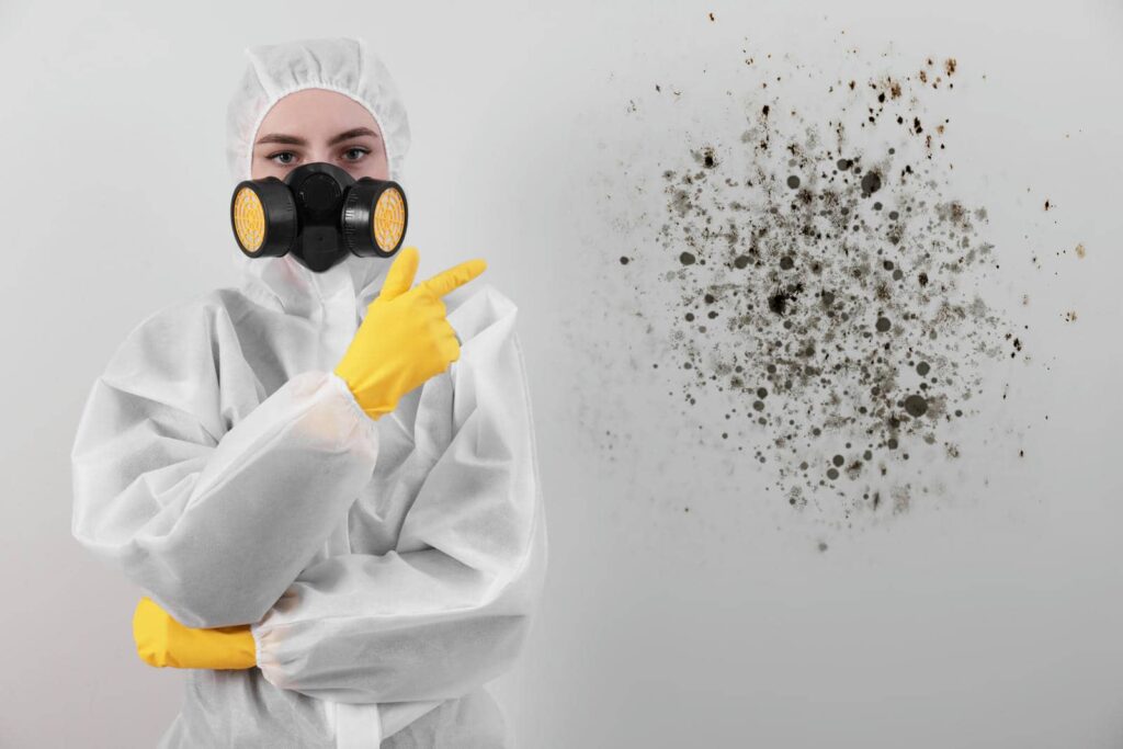 Expert Mold Remediation for Water Damage Repair