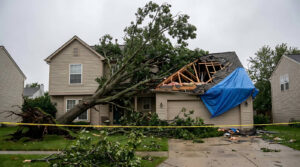 Fallen tree crushes a house roof, with storm damage and blue tarp.