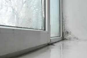 Mold growth on a white wall corner near a wet window with condensation.