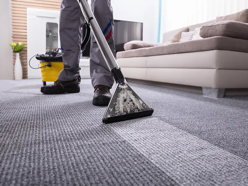 Professional carpet cleaning services