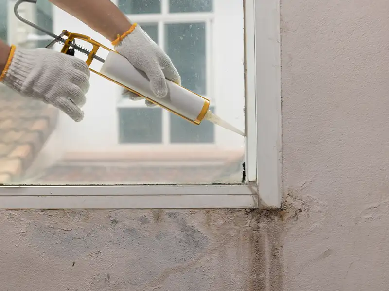 Professional mold inspection services