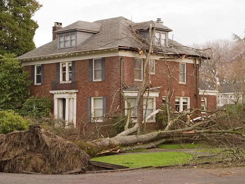 Storm damage repair services