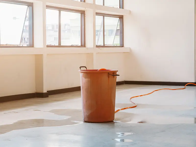 Commercial water damage restoration