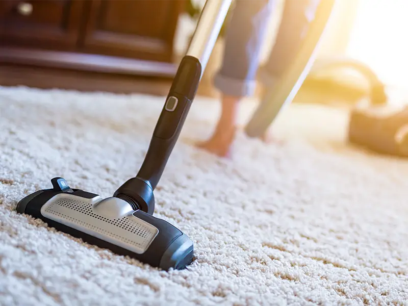 Professional carpet cleaning services